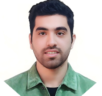 امیرحسین انصاری